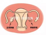 “許子言”親媽現身，教你如何生一個媽媽的小情人小暖爐！