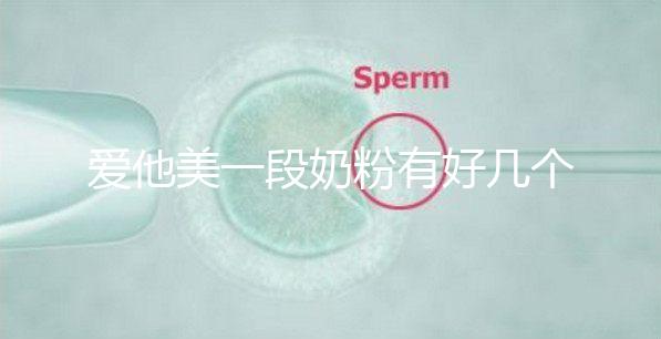 愛他美一段奶粉有好幾個版本，但真偽查詢方法都相似