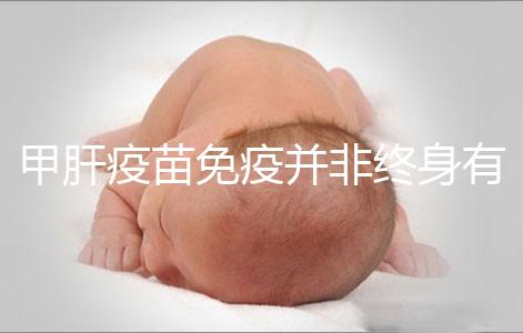 甲肝疫苗免疫并非終身有效,滅活類型抗體持續(xù)時間更久