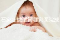 石家莊做試管哪家醫(yī)院成功率最高（石家莊做試管哪家醫(yī)院成功率最高的）
