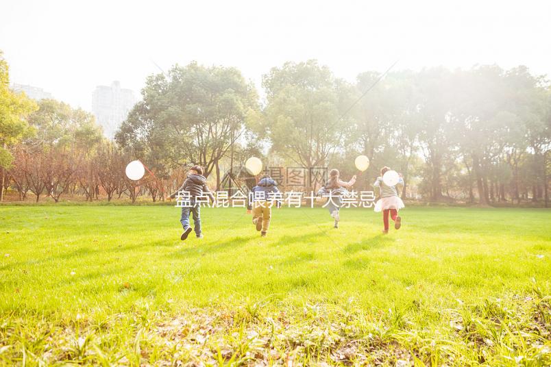 盤點(diǎn)混合喂養(yǎng)有十大禁忌!你能知道一頓母乳和一頓奶粉嗎?