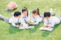 益生菌固體飲料的八大騙局揭露，被曝光的秘密震驚眾人