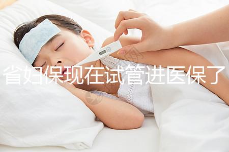 省婦保現在試管進醫(yī)保了嗎