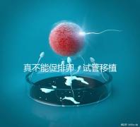 真不能促排卵，試管移植前吃優思明作用與功效竟是這