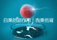 白果的副作用（白果傷腎還是補(bǔ)腎）