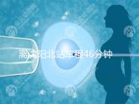 離沈陽北站車程46分鐘！沈陽菁華醫(yī)院地址及路線一覽