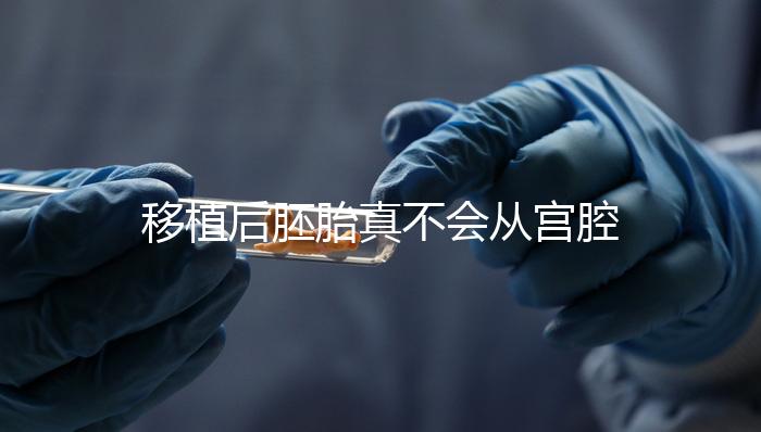 移植后胚胎真不會(huì)從宮腔掉出來(lái)!原因有這些...