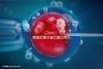 移植后腹水輸白蛋白兩天不好怎么辦？關鍵是找出發生了什么