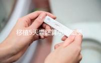 移植5天囊胚算孕周和預產(chǎn)期有訣竅，專家：用這2種方法