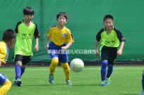 美國試管嬰兒可以選擇性別嗎？附上法律規定和安全性