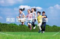 美國 試管 流程（美國試管流程）