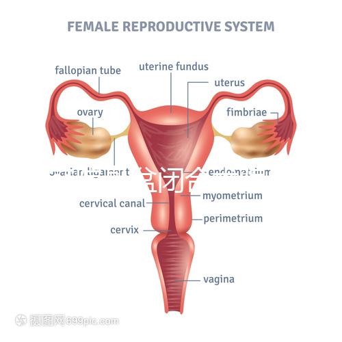 美容院骨盆閉合術(shù)騙局公開(kāi),不但沒(méi)用還會(huì)造成損傷要小心
