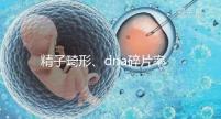 精子畸形、dna碎片率高，三代試管嬰兒或許是最后“救星”