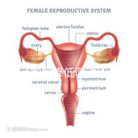精子密度降低調(diào)理四步走，男性生育制勝法寶趕緊看看