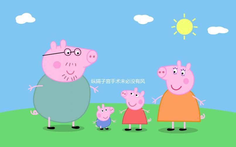 縱隔子宮手術未必沒有風險，必須警惕這4種后遺癥！