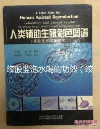 絞股藍泡水喝的功效（絞股藍泡水喝的功效與作用）