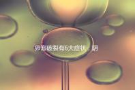 卵泡破裂有6大癥狀，陰道出血僅為前兆表現之一！