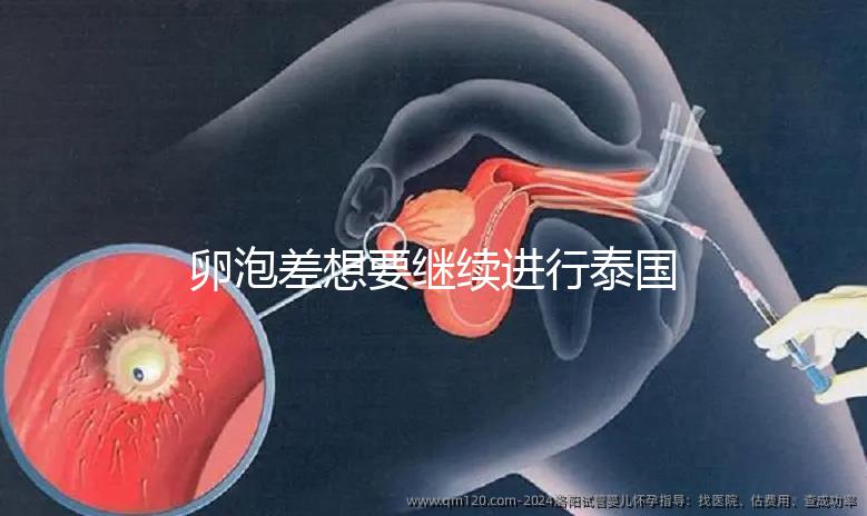 卵泡差想要繼續(xù)進行泰國試管嬰兒,送你這份過來人小心得