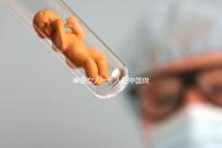 單身女人一個人在中國做試管嬰兒需要多少錢？