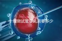 十堰做試管嬰兒需要多少錢？各大醫院成功率及費用在這里