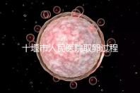 十堰市人民醫院取卵過程詳解，三種情況可全身麻醉