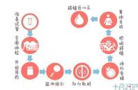 兒童牙膏十大國產(chǎn)產(chǎn)品公布，2024年哪些品牌看這個