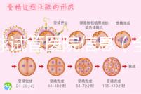 全球試管醫院信息（全球試管醫院排名）