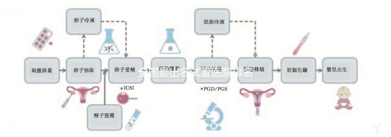 全國最出名試管醫(yī)院排名前5,內(nèi)附試管費(fèi)用及成功率一覽