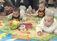 全蝎的功效與作用（全蝎治什么病最好最快）