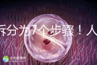 共拆分為7個(gè)步驟！人工授精自然周期流程全解