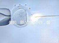 假的、別人的都不行，國內做試管無結婚證真不能過關！
