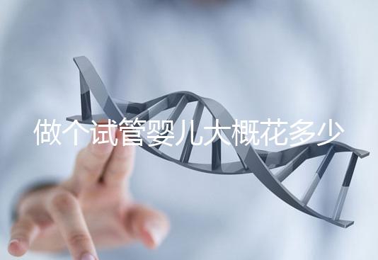 做個試管嬰兒大概花多少錢(做個試管嬰兒得花多少錢)