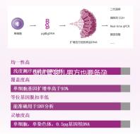 做試管嬰兒男方也要備孕？提升精子質量“四素一葷”不能少！