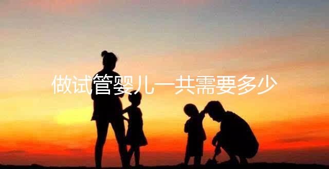 做試管嬰兒一共需要多少錢(qián)？