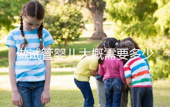 做試管嬰兒大概需要多少費用