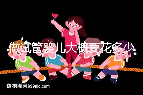 做試管嬰兒大概要花多少錢?