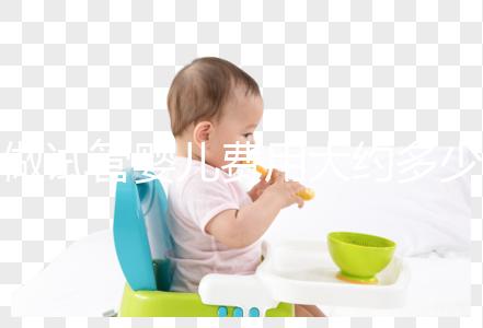 做試管嬰兒費用大約多少錢?