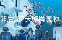 取卵后第2天卵巢囊腫，怎么能快速恢復(fù)？