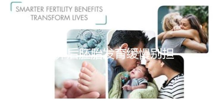 取卵后胚胎發育緩慢別擔心！這么做試管成功率翻倍