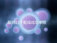 取卵31個配成成功率預(yù)測，鮮胚個數(shù)在這個范圍都有希望