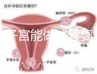 雙角子宮能做試管嬰兒嗎？可以，但這2大條件缺一不可