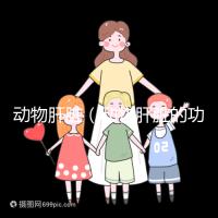 動物肝臟（動物肝臟的功效與作用）