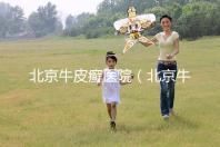 北京牛皮癬醫(yī)院（北京牛皮癬醫(yī)院排名）