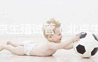 北京生殖試管（北京生殖試管嬰兒）