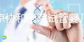 北京協(xié)和醫(yī)院試管嬰兒(北京協(xié)和醫(yī)院試管嬰兒哪個醫(yī)生好)
