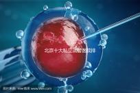 北京十大私立試管醫院排名：費用、成功率全面解析