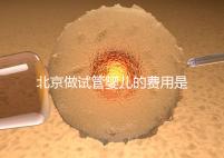 北京做試管嬰兒的費用是多少錢？詳細流程是怎樣的？
