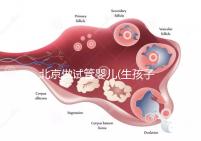 北京做試管嬰兒(生孩子)的費用具體是多少？