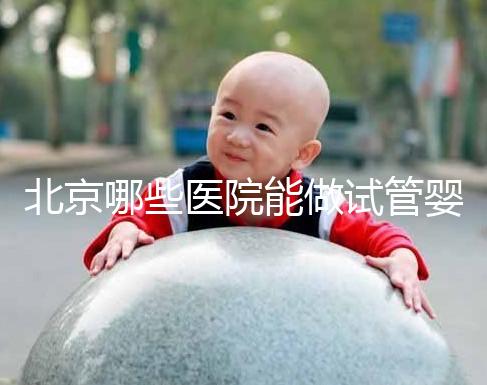 北京哪些醫院能做試管嬰兒？