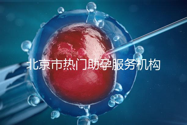 北京市熱門助孕服務機構排名榜單!這三家性價比比較出眾!